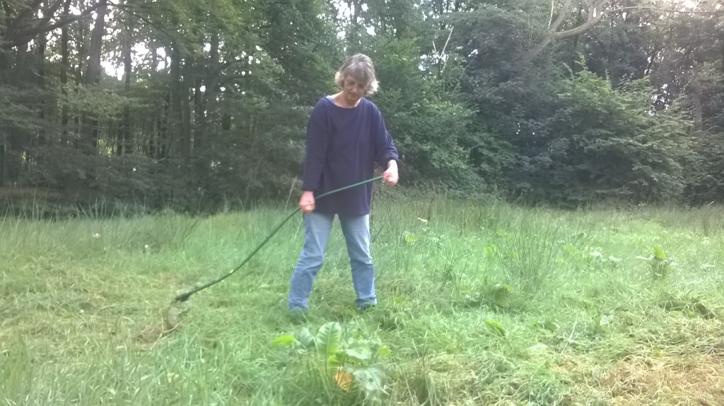 de vrouw met de zeis